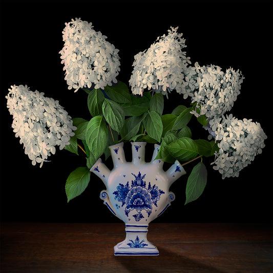 Hydrangeas in a Dutch Tulipiere, 2018