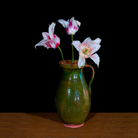 Tulips in an Egyptian Jug, 2021