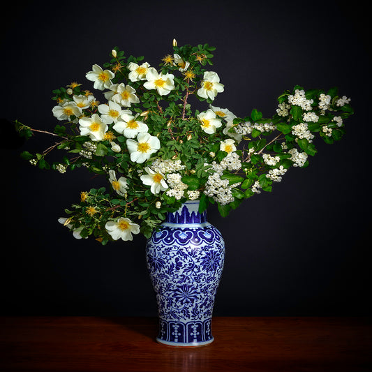White Hawthorne and White Shrub Rose in a Blue and White Chinese Vase, 2018