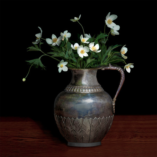Anemone Canadensis in a Silver Jug, 2018