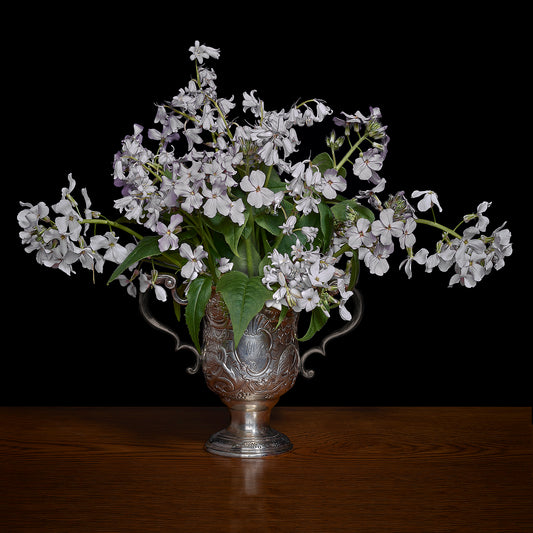 Woodland Scilla and Phlox in a Silver Cup, 2018