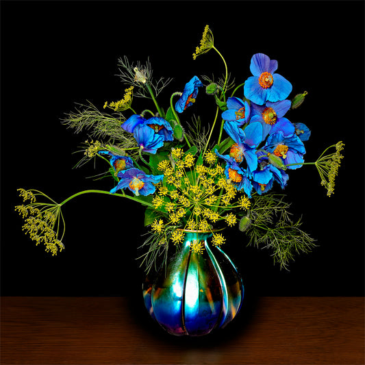Blue Poppies with Dill Flowers, 2023