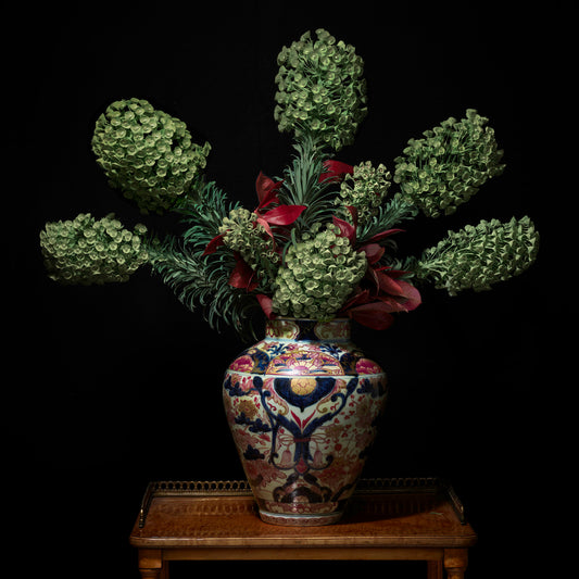 Euphorbia in a Japanese Imari Vessel, 2018