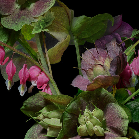 Hellebores & Bleeding Hearts, 2019