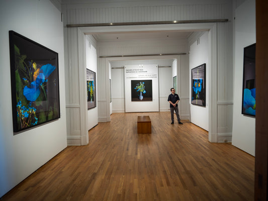 Gallery Installations