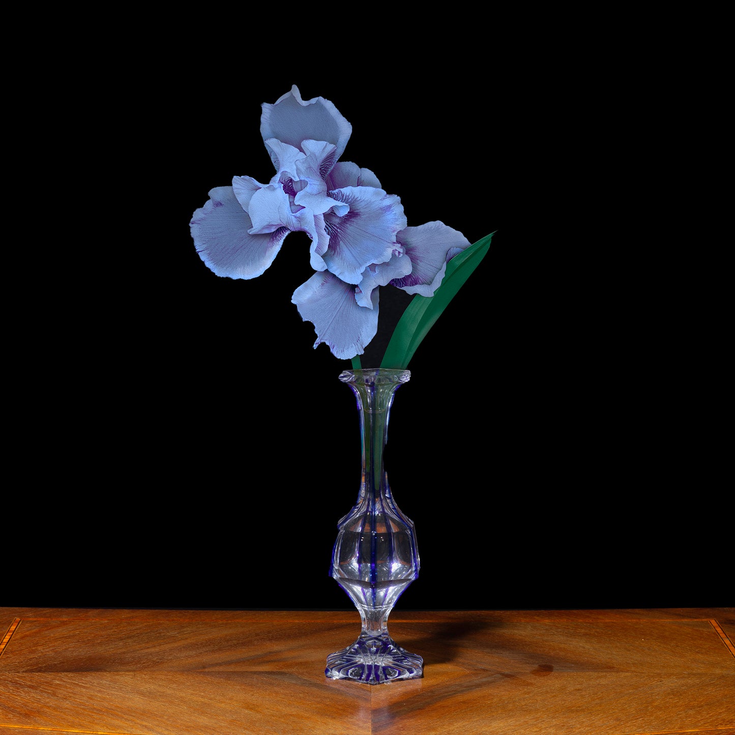 Iris in a Crystal Bud Vase, 2021