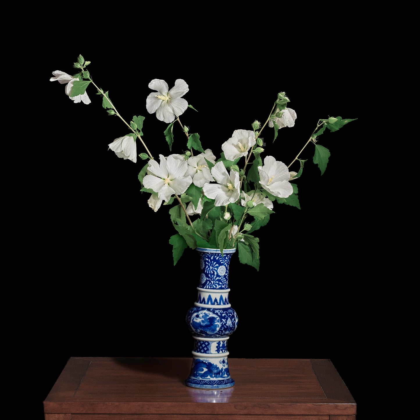 White Rose of Sharon in a Blue and White Chinese Vase