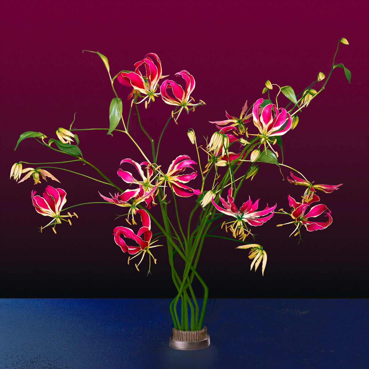 Glorioso Lily, 2025