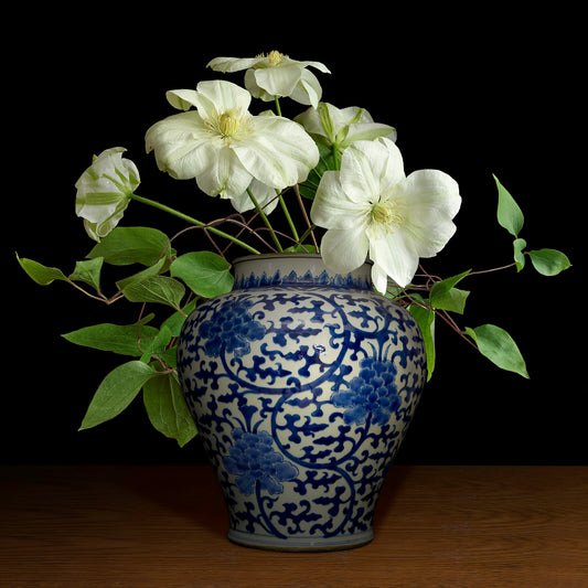 White Clematis in a Blue and White Chinese Vase