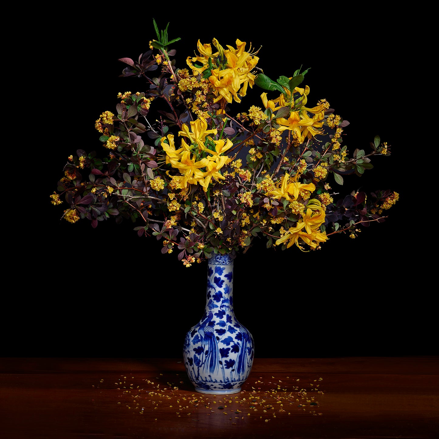 Yellow Azaleas and Barberry in a Blue and White Chinese Vase