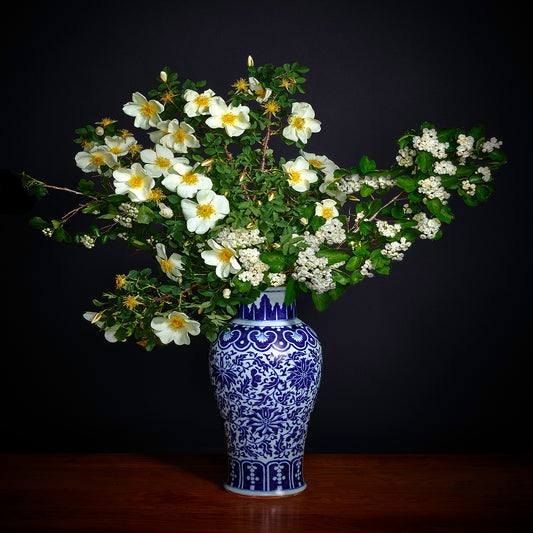 White Hawthorne and White Shrub Rose in a Blue and White Chinese Vase
