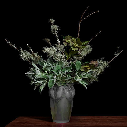 Lamb's Ear and Lichens on Pine Branches in a Lalique Glass Vase