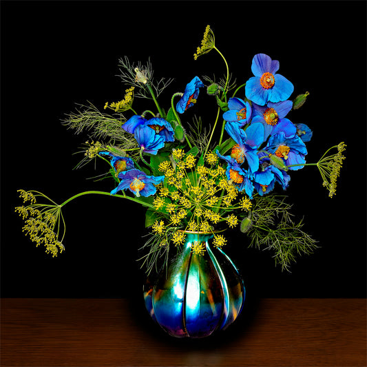 Blue Poppies with Dill Flowers