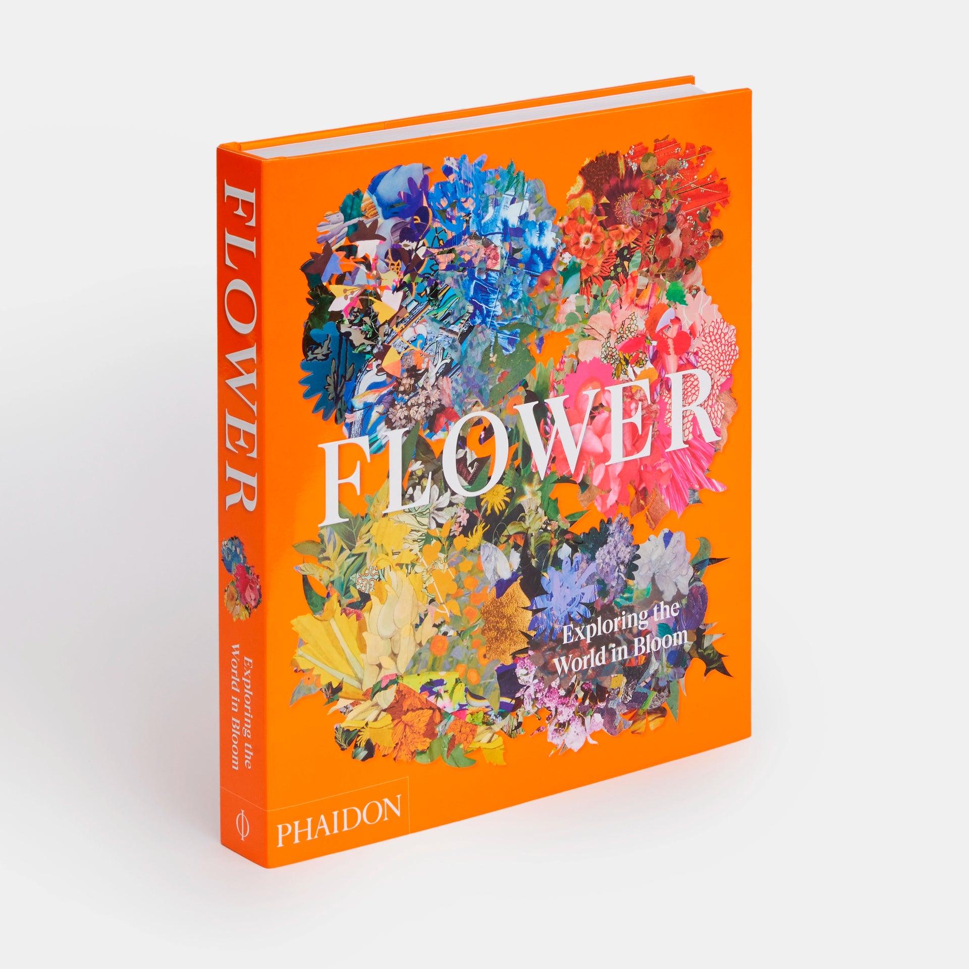 Flower: Exploring the World in Bloom – T.M. Glass